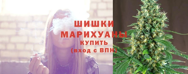 ALPHA PVP Кодинск