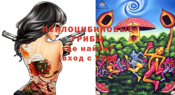 ALPHA PVP Кодинск