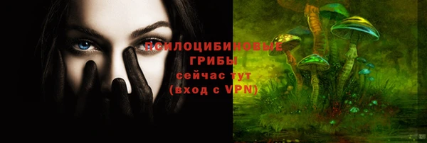 меф Козельск