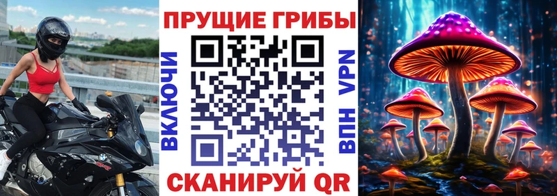 Псилоцибиновые грибы ЛСД  Купить закладки  Белозерск 